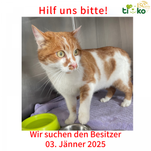 Fundtiere FB 1 Fundtiere FB 1